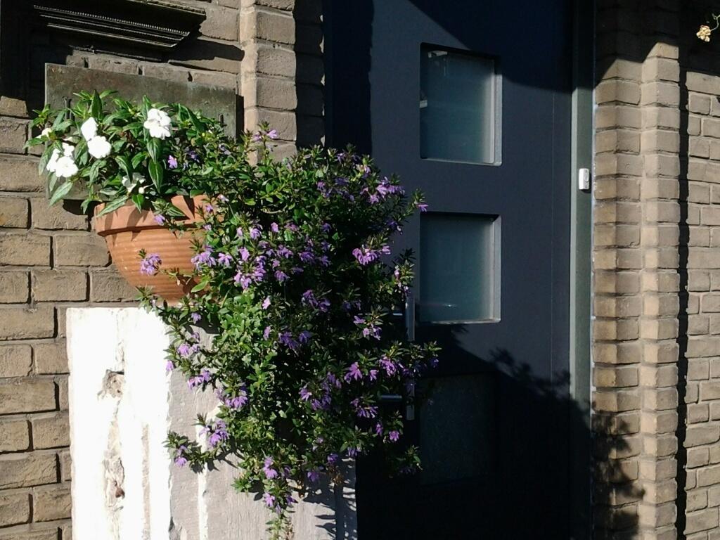 Joke De Groot Bed & Breakfast